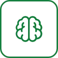 brain icon